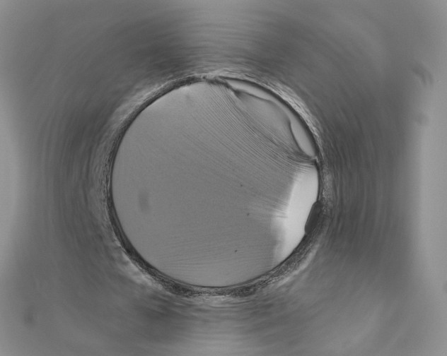 X0000110990577200907311012