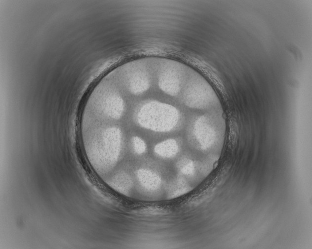 X0000110990578200907311012