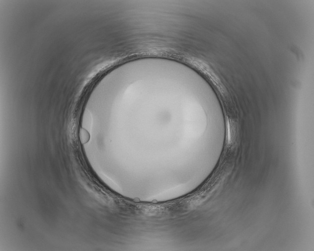 X0000110990579200907311012