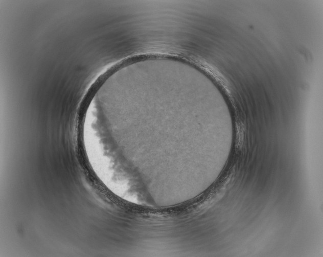 X0000110990580200907311012