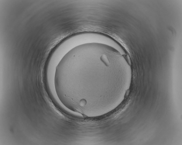 X0000110990581200907311012