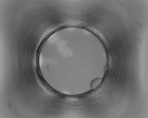 X0000110990582200907311012