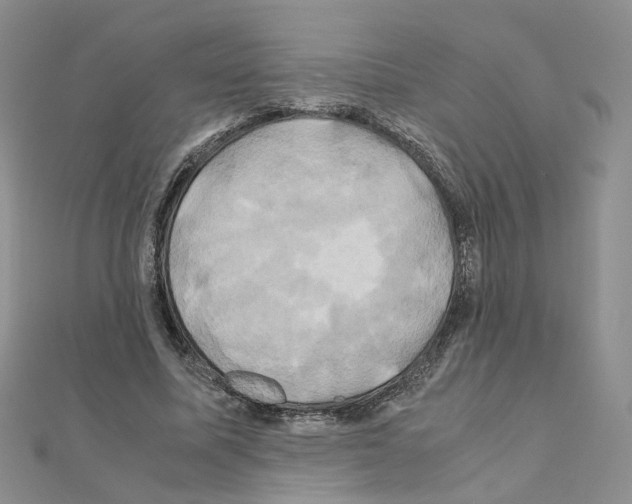 X0000110990587200907311012