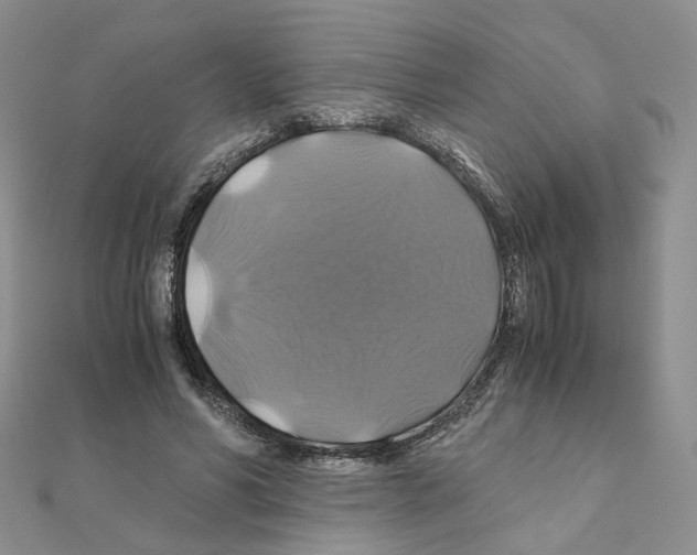 X0000110990590200907311012