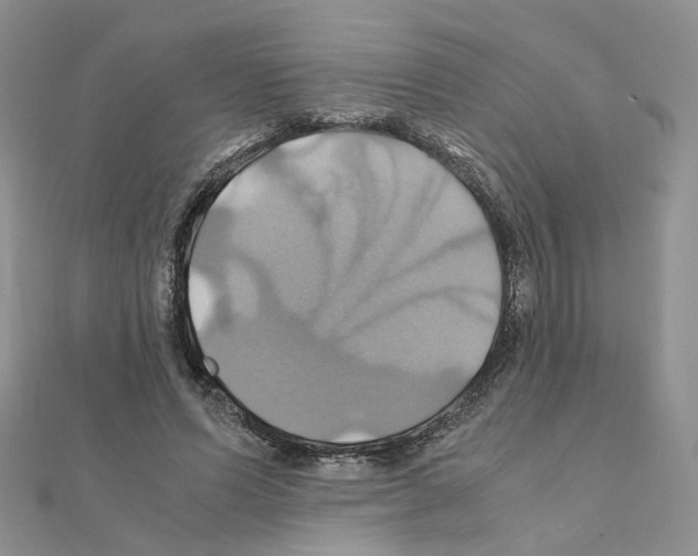 X0000110990591200907311012