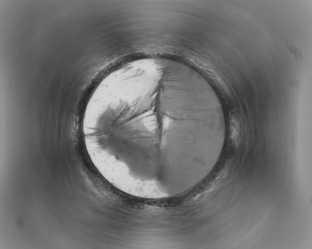 X0000110990592200907311012