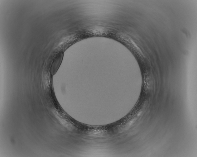X0000110990593200907311012
