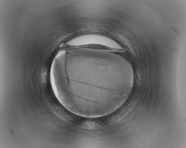 X0000110990596200907311012