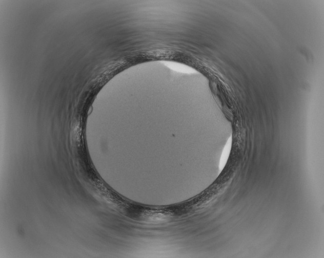 X0000110990597200907311012