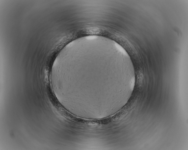 X0000110990598200907311012