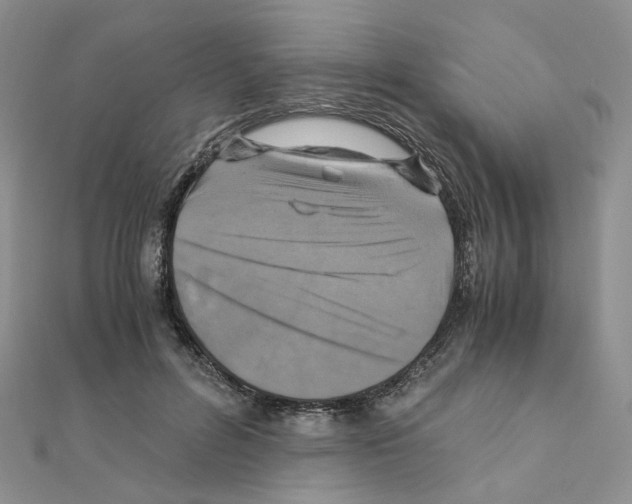 X0000110990600200907311012