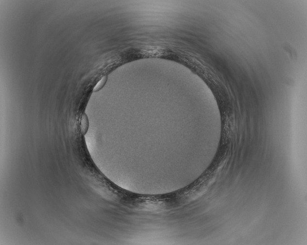 X0000110990601200907311012