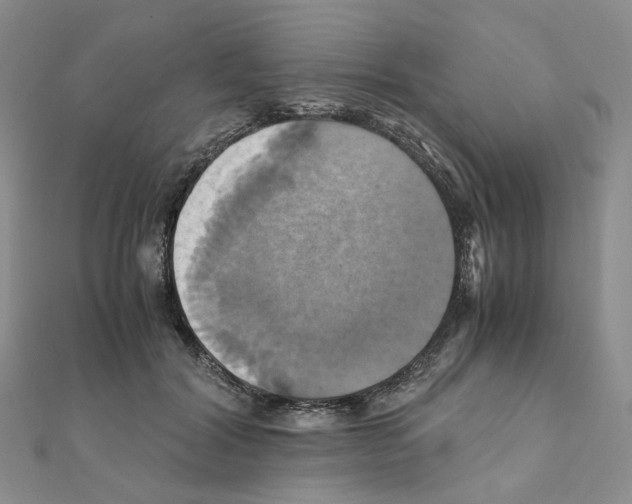 X0000110990604200907311011