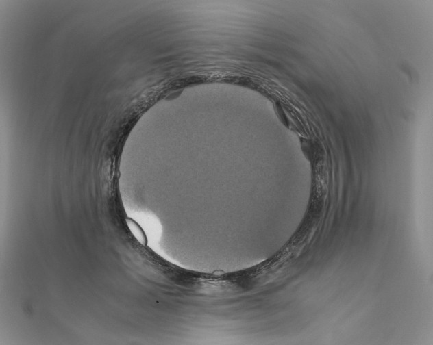 X0000110990605200907311011