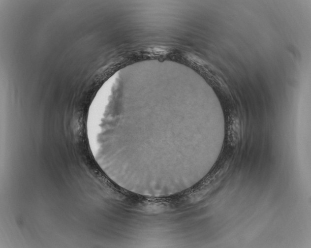 X0000110990608200907311011