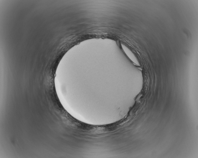 X0000110990609200907311011