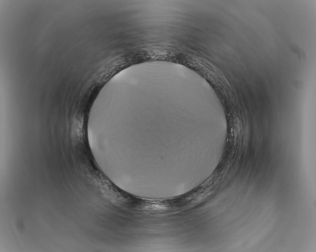 X0000110990610200907311011
