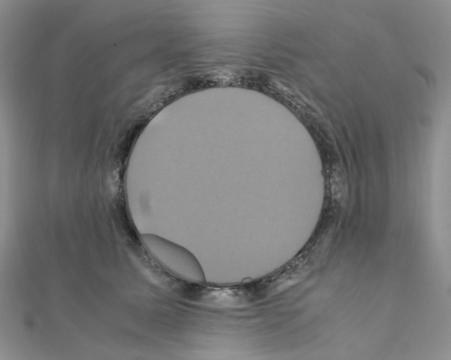 X0000110990611200907311011