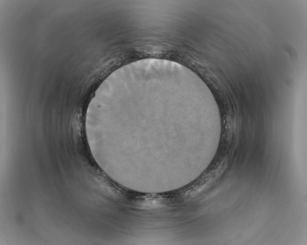 X0000110990612200907311011