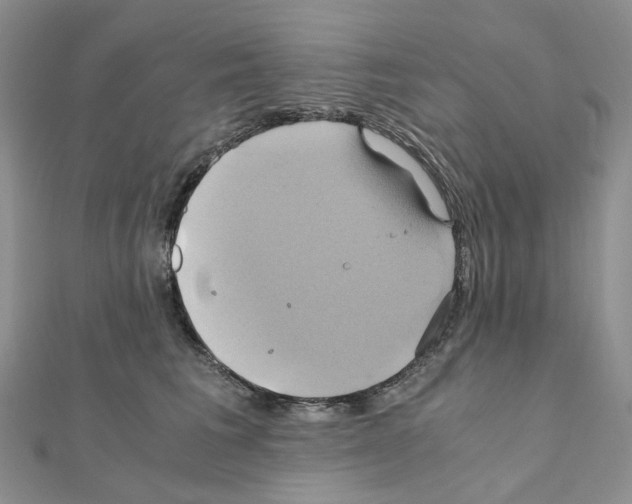 X0000110990613200907311011