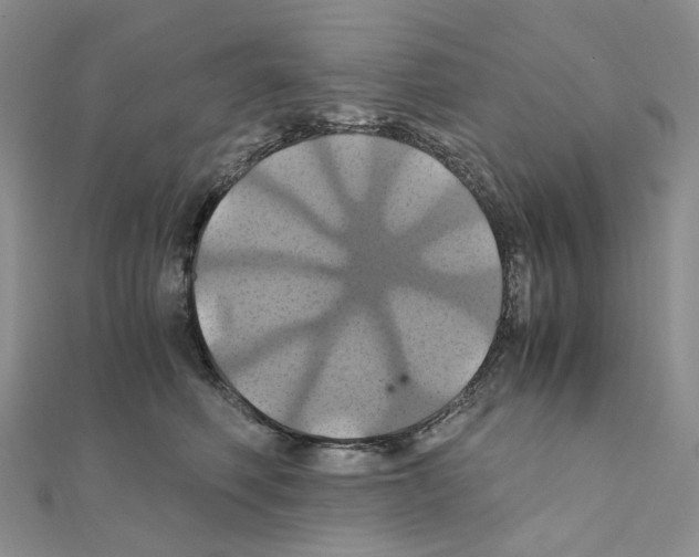 X0000110990614200907311011