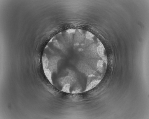 X0000110990615200907311011