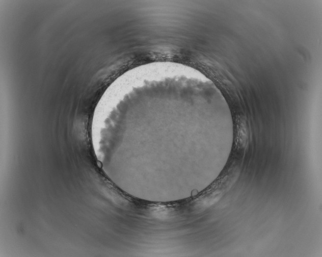 X0000110990616200907311011