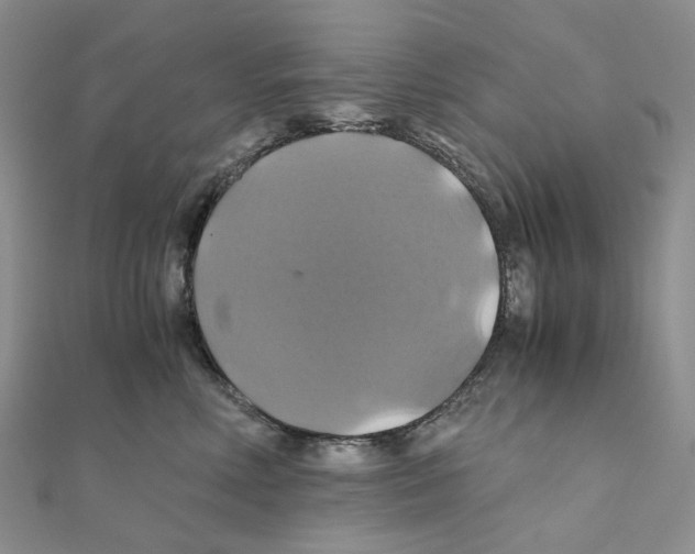 X0000110990618200907311011