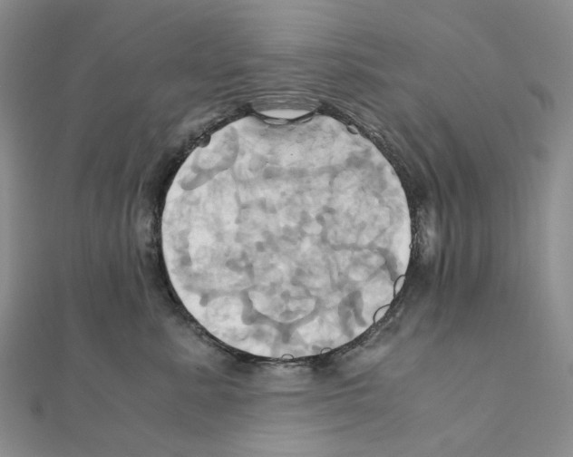X0000110990619200907311011