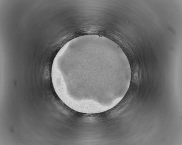 X0000110990620200907311011