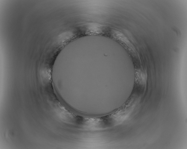 X0000110990621200907311011