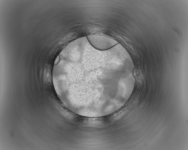 X0000110990622200907311011