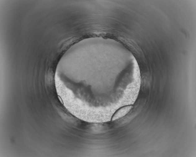 X0000110990623200907311011