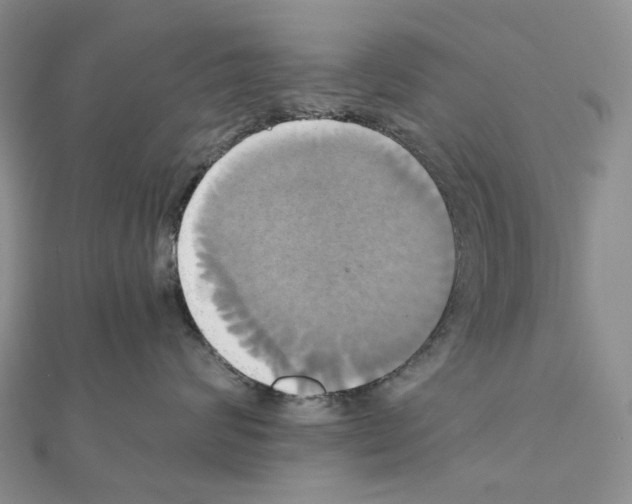 X0000110990624200907311011