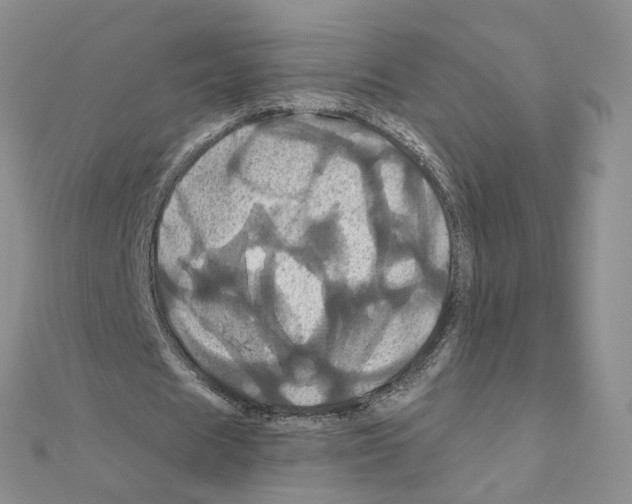 X0000110990625200907311011