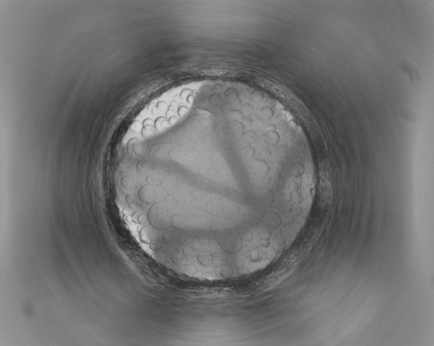 X0000110990626200907311011