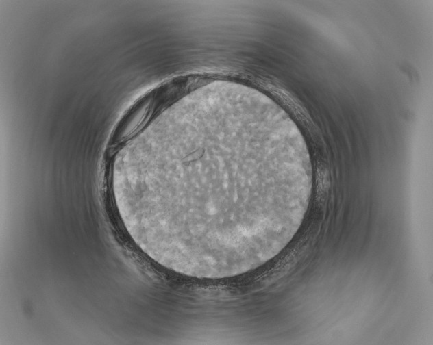 X0000110990628200907311011