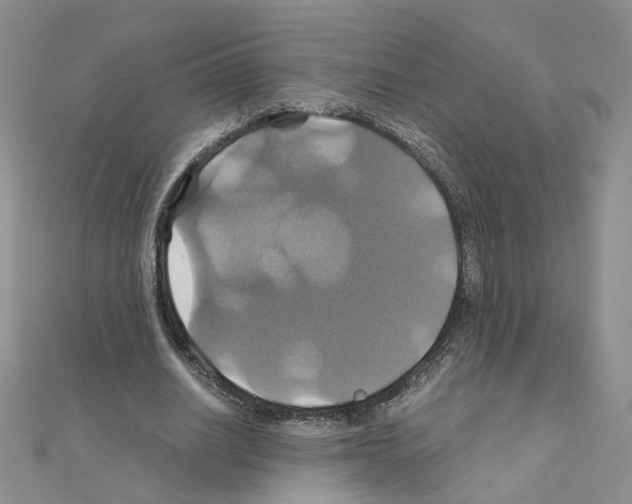 X0000110990630200907311011