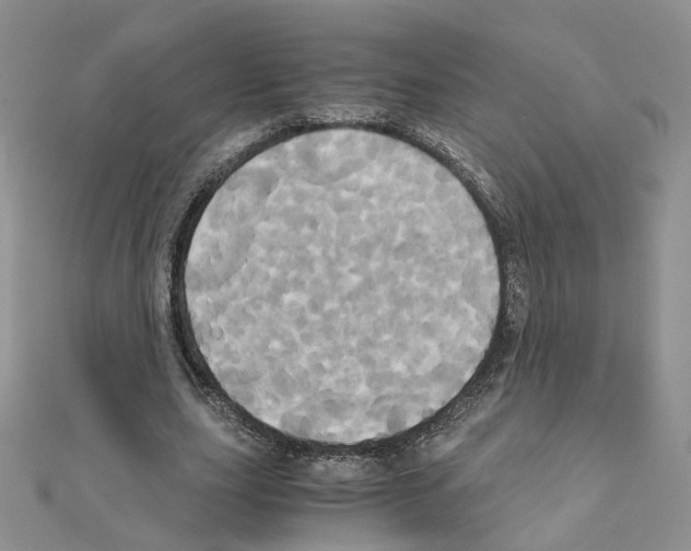 X0000110990631200907311011