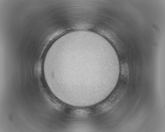 X0000110990632200907311011