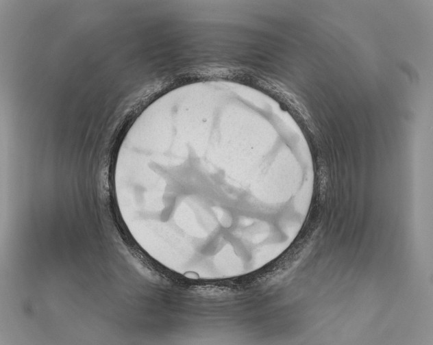 X0000110990633200907311011