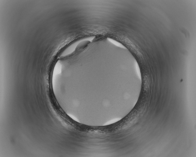 X0000110990634200907311011