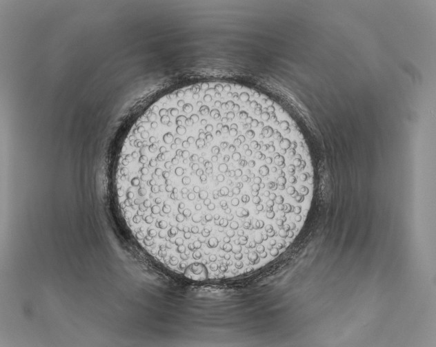 X0000110990635200907311011
