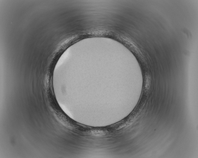 X0000110990636200907311011