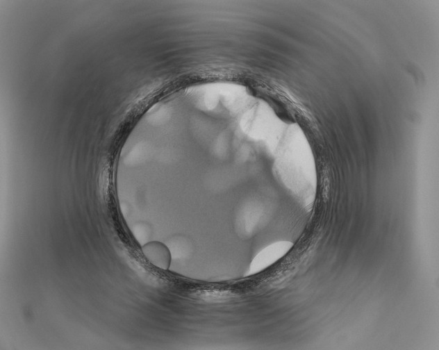 X0000110990637200907311011