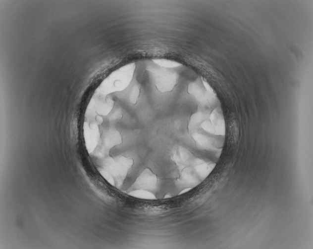 X0000110990638200907311011