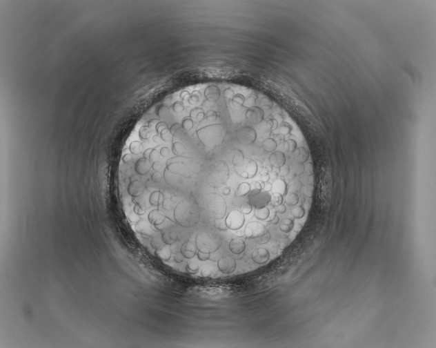 X0000110990639200907311011