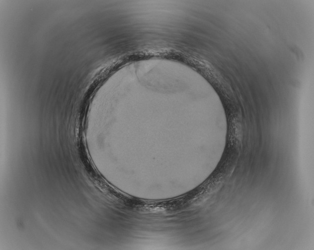 X0000110990640200907311011
