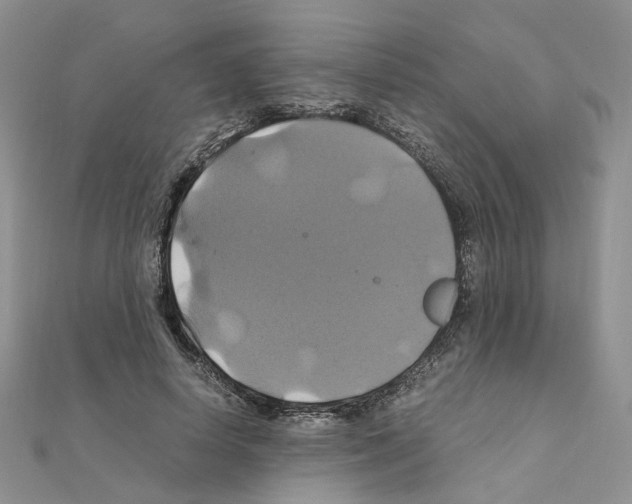 X0000110990642200907311011