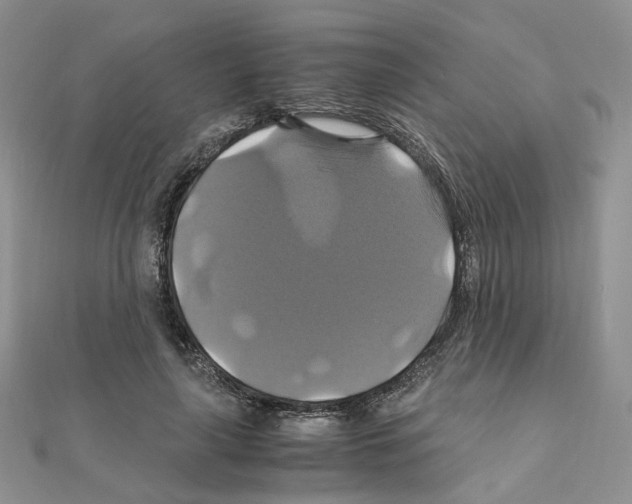 X0000110990643200907311011